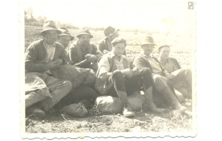 Pityókaszedés - 1973.