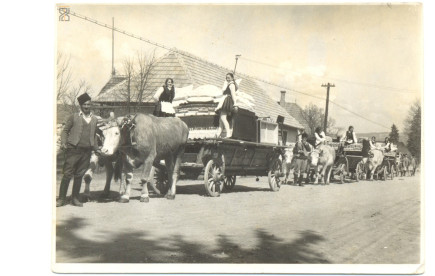 Serbán Juliánna perefernuma - 1972