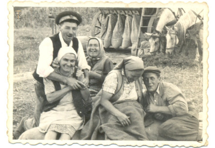 Aratás utáni pihenő