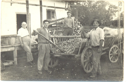 Gál Gyula plébános, Vitos György, Vitos Ignác és Vitos Sándor