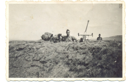 Dánél Ádám katona - II.vh