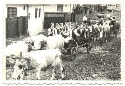 Szüreti felvonulás 1970 körül